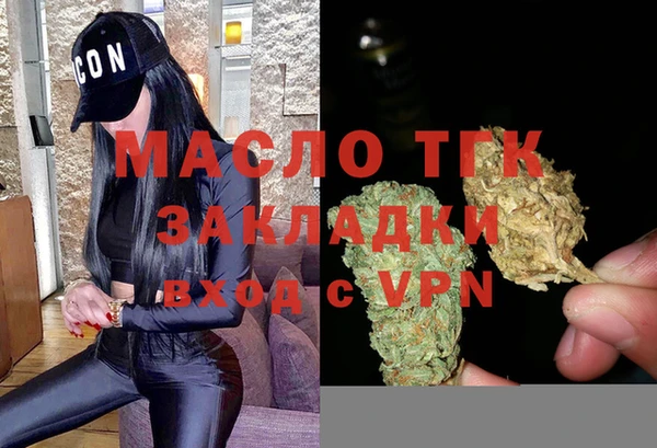 гашик Мегион