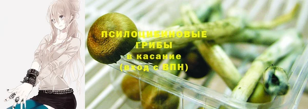 гашик Мегион