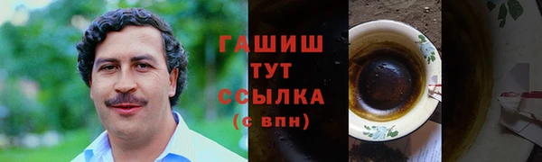 гашик Мегион