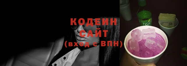 гашик Мегион