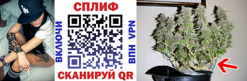 Бошки Шишки SATIVA & INDICA  Купить закладки  Клин 